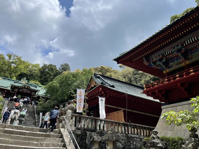 ゴールデンウィーク最終日、私の仕事が休みだったのでパパさんが行きたかった『久能山東照宮』へ行く計画を立てていました。いつもは見ない大河ドラマですが、今年の大河はなぜか見ていて、その影響で浜松へ行くことに。ホテルの隣には浜松城もあります。直前になって、娘夫婦も行くことになり、お孫ちゃんも一緒の楽しい旅になりました。当日は雨予報でしたが、なんとか降られることもなく、動物園にも行けました。あんまり期待はしていなかったのですが、この動物園がなかなか良くて、すごく楽しめました。動物の見せ方も良いし、動物園もきれい、スタッフも優しい。また行こうと思える動物園でした。<br />ホテルはゴールデンウィークなのに安くて心配していましたが、部屋も清潔で朝食バイキングも美味しい、良いホテルでした。大浴場がないのだけが残念かな。<br />2日目は雨に降られ、予定していた浜松城とかパルパルとかには行けませんでしたが、買い物をしたり、詰め放題をしたりと、ゆっくり過ごせました。