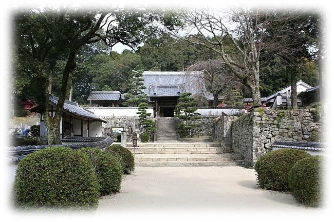 高月院は草創期の松平氏と結びつき、14世紀後半から15世紀末にかけ浄土宗を西三河に定着させた鎮西派寺院、隣松寺(豊田市)、信光明寺(岡崎市)、大樹寺(岡崎市)などの一つ。開創時期や松平氏縁故など共通点も多いようですが、高月院は他寺院に比べ開創時期の経緯がやや不明瞭とされるようです。創建は1367年(貞治6年)、当時松平郷を治めた在原信重(松平太郎左衛門尉信重)を開基とし、その庇護を受けた見誉寛立(足助重正)が開山。開創当時は寂静寺と号し、応安(1368年~1375年)の頃に松平親氏の歸依により現在の「本松山 高月院」に改め菩提寺として本尊や堂宇が整えられました。本堂左に家康の祖先松平氏の松平氏墓所があります。中央に始祖親氏、右に泰親、左に5代長親の母、閑照院殿の墓塔があり、下に歴代住職と松平太郎左衛門尚栄・重和二代と尚栄夫人等一族の墓地がある。天下統一を成し遂げた徳川家康は、1602年(慶長7)に上洛の途上に高月院の祖廟を参詣したとされ、その後も1641年(寛永18)には家光によって伽藍全て再建されるなど、江戸幕府により明治維新まで厚遇されていた。