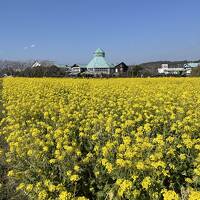 千葉/強風でやられた白浜での週末＠シーグラス白浜1st（2023年2月）