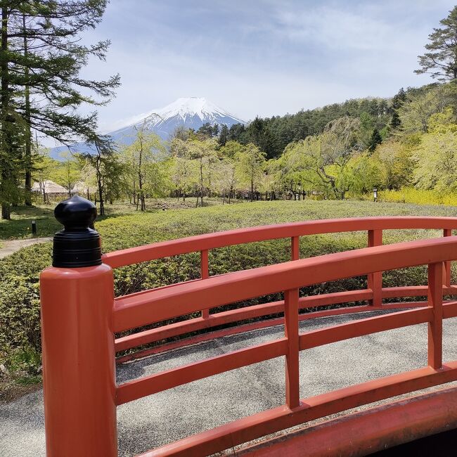 忍野しのびの里からはじまり、ふじさんミュージアム。ほうとうを食べ、最後に車で富士山5合目へ。1日で巡る富士山満喫の旅です。