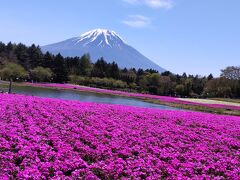 甲州「富士芝桜・リニア見学センター、神社仏閣、温泉、ワイン」の旅