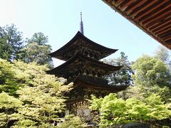 2023初夏・青紅葉と花を求めて滋賀・京都　その１～近江牛と湖東三山・西明寺