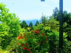 花盛りの武蔵御嶽神社奥の院・日の出山トレッキング