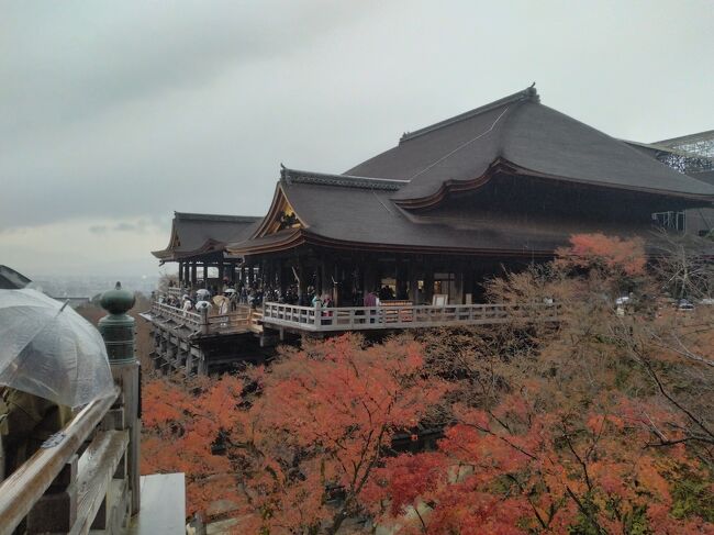 2022年12月に京都へ一泊二日の旅行に行きました。<br />1日目は安井金比羅宮と清水寺へ、2日目は下鴨神社へ行きました。