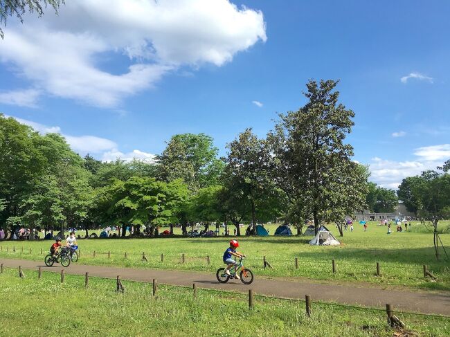 小平グリーンロードでサイクリングしてきました。<br />小平市を1周する、いびつな菱形をした、全長21kmの遊歩道です。<br />コースの南東部分は、小金井市内を通過します。<br /><br />シティサイクルで1周は大変なので、今回は南側だけ半周。<br />帰りは真ん中を横断する青梅街道でショートカットしてきました。<br /><br />小平グリーンロードの南側は、ほぼ玉川上水と重なっています。<br />5、6年前に玉川上水沿いを歩いた時と、同じコースを走りました。<br /><br />同時期に、furariアプリで「森の地図スタンプラリー」を開催中。<br />昔行った色んな場所が、スタンプ取得スポットになっていました。<br />