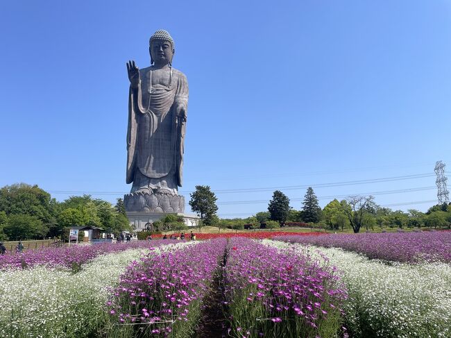 2023.GW 茨城の旅1日目～牛久・龍ヶ崎・土浦