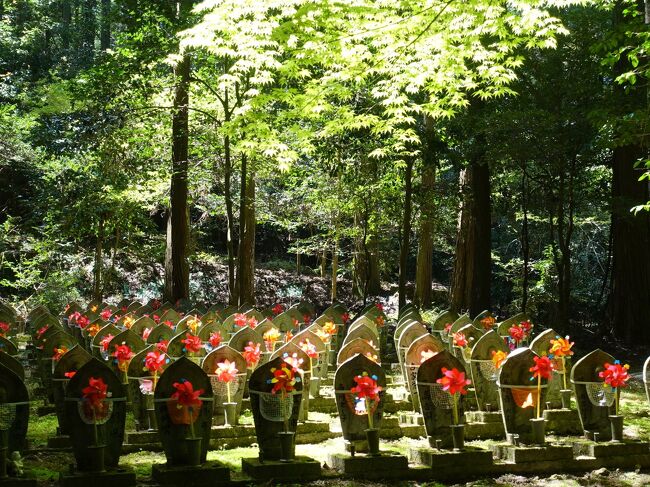 2023初夏・青紅葉と花を求めて滋賀・京都　その２～湖東三山・金剛輪寺と百済寺、ついでに永源寺