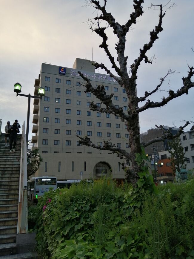 南海電鉄堺駅に近い「コンフォートホテル堺」に宿泊しました<br /><br />堺駅周辺もぶらぶらしました