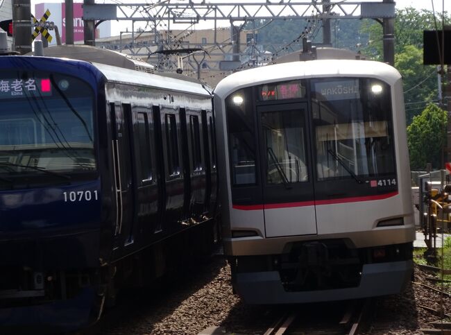 今年の春に、ようやく開業した相鉄・東急新横浜線。東急日吉駅から地下新線をおよそ10km以上建設、途中横浜の新都心、新横浜を経由し数年前に開通した羽沢横浜国大駅でJR直通路線と合流、相鉄西谷駅へ至る。<br />相鉄はようやく横浜発着中心から、東急東横線を経由し、都心へダイレクトに結ぶ路線へ大きく変貌した。直通パターンは複雑で、数年前に開通した海老名からJR直通、新宿へ行く系統に加え、東急目黒線経由、都営三田線に乗り入れて日比谷、大手町、巣鴨、高島平へ至る系統と、いずみ野線から東横線経由で副都心線に乗り入れ、和光や川越へ至る系統が追加された。日中でも相鉄から東急へ直通する列車は1時間当たり4本は走る。<br />相変わらず相鉄電車のメインは横浜止まりであるが今後どうなるかは分からない。<br />今回は、連休明けに、都営三田線から相鉄線まで乗車し、二俣川から鶴ヶ峰の間で撮影も行いました。