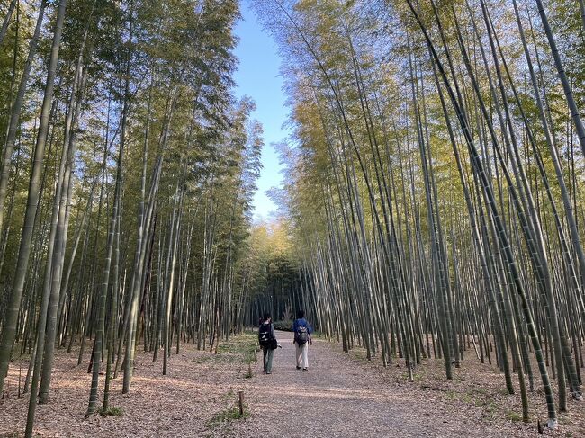 栃木の旅2023GW①