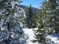 2023年４月Vailでスキー