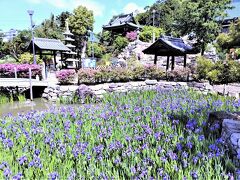 ２０２３年５月  カキツバタが咲く神戸、吉祥山實相寺（多聞寺）を拝観します！