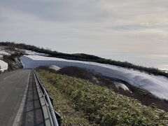 東北最後の桜巡り(その２)