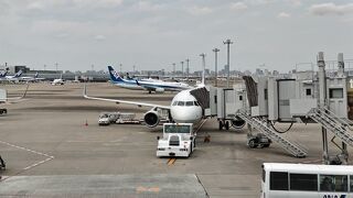 行きは飛行機で、帰りは新幹線☆帰省