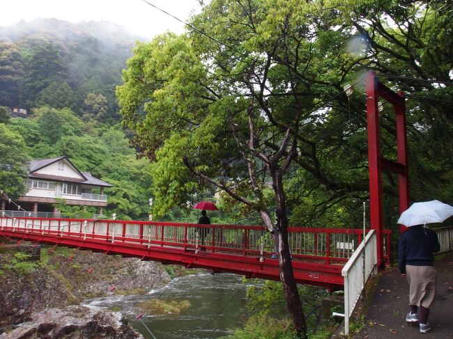 愛知県東部、静岡県西部に近い奥三河に位置する歴史ある温泉<br /><br />湯谷（ゆや）温泉に長男夫妻が招待してくれました。<br /><br />ゴールデンウィーク直前の４月２６日に今人気の日帰り温泉です。<br /><br />hama夫妻には、耳慣れない日帰り温泉で且つ山里に佇む場所に<br /><br />大変興味が湧きました。<br /><br />山は、新緑で覆われ息吹が感じられてhamaの好きな季節です。<br /><br /><br />＊赤い吊り橋が架かる前にある歴史ある温泉宿　湯の風HAZU。<br /><br />