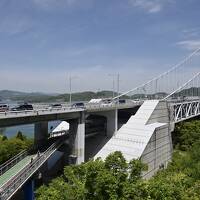 春を味わう母と息子の四国旅♪松山編　愛媛の柑橘ぶり　③