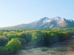 シニアトラベラー！桜巡りのはずが新緑巡りになった北東北満喫の旅⑦