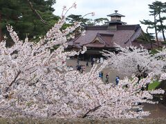 2023sakuraシリーズ７♪　北海道、青森いいとこどり♪　函館ベイエリア、五稜郭の桜♪＆ラジェントステイ函館駅前♪　