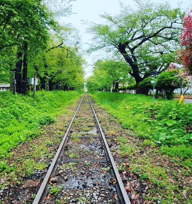 シニアトラベラー！桜巡りのはずが新緑巡りになった北東北満喫の旅⑥