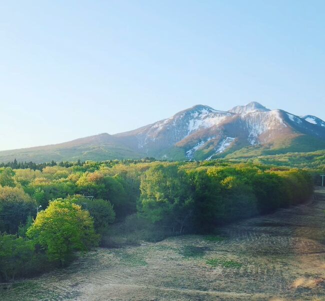 シニアトラベラー！桜巡りのはずが新緑巡りになった北東北満喫の旅⑦