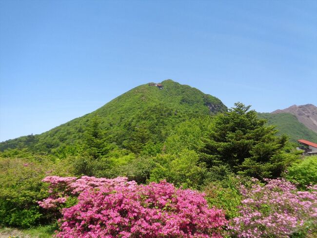 久しぶりに島原・雲仙へ。<br />仁田峠のミヤマキリシマが見頃を迎えていました。<br /><br />(2023/8/3)