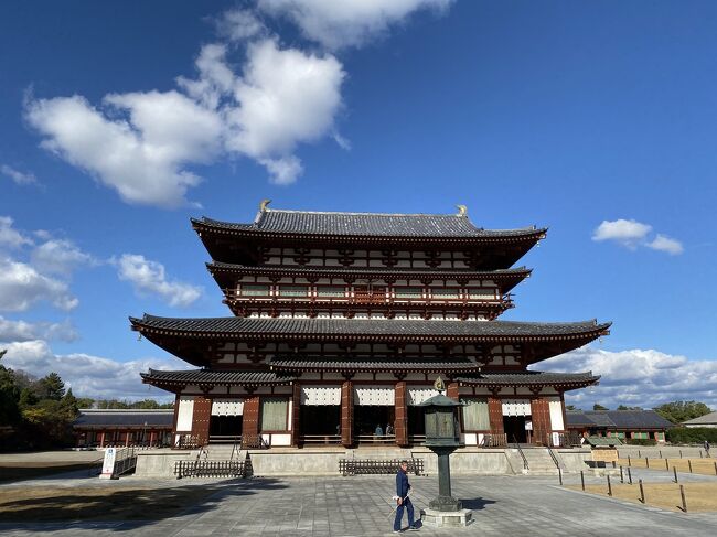１０月に奈良に行ったけれどリベンジ奈良！<br />前に行けれなかったところをチョイス<br /><br /><br />春日大社・東大寺・薬師寺<br /><br />