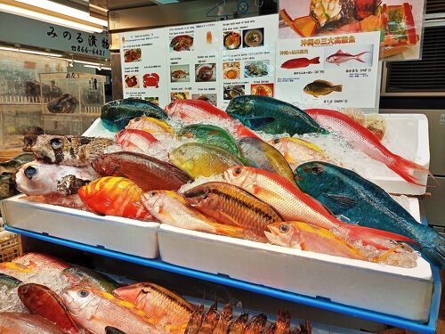 何度でも行きたくなる沖縄 🐠 北へ 南へ ひとり旅 1日目 瑞泉酒造見学