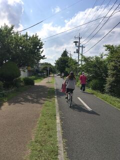 【東京を自転車で走る旅】(5) 小平グリーンロード・北半周