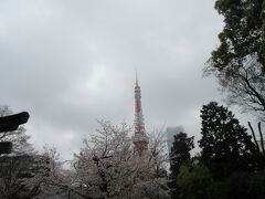 グランクラスで行く、桜を目当てに日帰りお江戸Trip