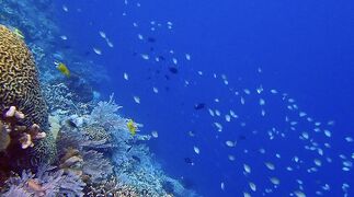 タイさんのインドネシアの旅24日目(2023/5/12) スラウエシ島 マナドからブナケンへ