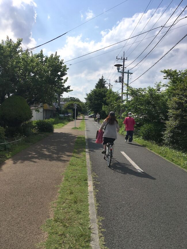 【東京を自転車で走る旅】(5) 小平グリーンロード・北半周