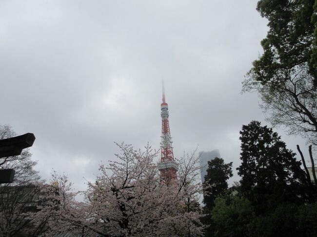 観測史上最速の開花が相次いだ2023年の桜。ちょうどJALのエリートステイタスが2023年3月末で最上位から陥落することから、お別れ的な旅をしようと考えていたところに、東京の桜が見頃というのが合致。出発3日前に急きょ予約しました。<br />ついでに、新幹線のグランクラスサービスが2022年10月に刷新されたので、それの視察も兼ねました。