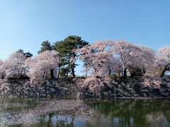 北信越２０２３春旅行記　【１２】富山城跡公園