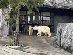 2023GW 旭川・富良野をめぐる北海道②旭山動物園・OMO7旭川に宿泊