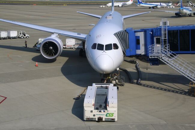 日本航空が保有する2種類の大型機：<br />エアバス350-9(A350)<br />ボーイング787-9(B787)<br />の2機に1日で乗って、「日帰りで新千歳空港往復をする弾丸旅」を決行。<br />旅行記　第1弾は、中部国際空港から羽田への富士山ビューフライト。