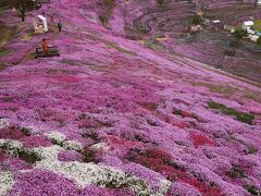 北海道・道東春３日間（２）東藻琴・芝桜公園～阿寒湖温泉