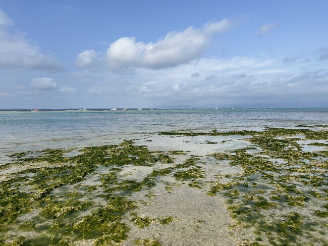 春から初夏に向かう3月の八重山は、比較的暖かいけど、天候不安定な時期でもあります。<br />それでも、夏らしさを求めて、石垣と黒島へ行ってきました。