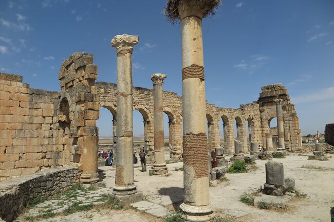 #166　ヴォルビリス遺跡 -北アフリカ最大級のローマ帝国遺産-　-2023GW６-
