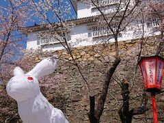 津山城跡はまるで桜の雲海！ホテル作州武蔵でリピ宿泊してきた！