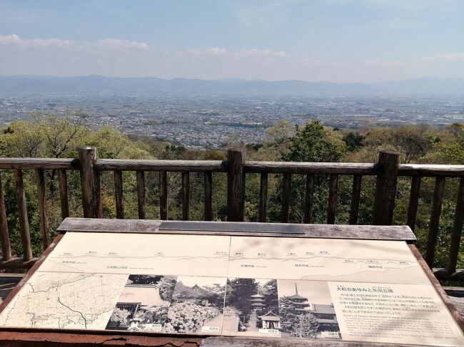 【2023 奈良&大阪花見旅 7 最終回】法隆寺を目指して矢田丘陵17kmウォーキング & 若草山登山