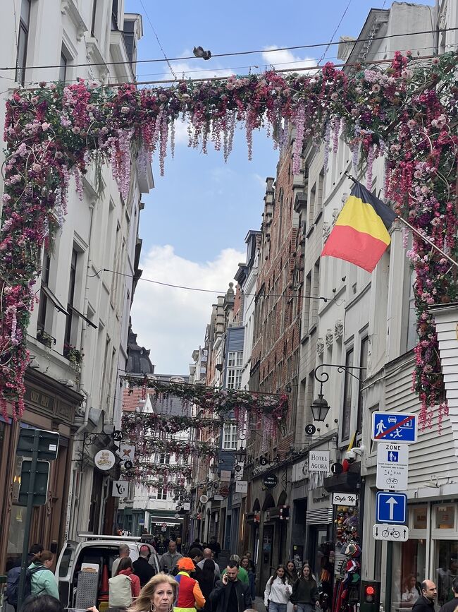 こちらは、この旅の最終日と帰りの旅行記です。<br />旅を終えた直後の感想は、オランダよりもベルギーのほうが良い印象を持ってました。<br />数日経って思い返してみると、アムステルダムはどこを切り取っても美しい街並みと運河、気軽にトラムに乗ってどこにでも行ける便利さ、そして見ごたえのある素晴らしい美術館がいくつもあるところ、、、などなど、またぜひとも訪れたいと思わせてくれる魅力的な街だったなーと感じます。ただ、ホテル代がもう少し安くて、道路が舗装されて、ゴミが落ちてなければ、よりよいのですが。<br /><br />ブリュッセルでは、世界で最も美しいと言われる広場を眺められる部屋と毎朝の美味しい朝食と親切な管理人さんのおかげで、心に残る素敵な滞在になりました。<br /><br />どちらも、期待通りの景観を味わうことができ、やっぱりヨーロッパ大好きです!<br />燃油サーチャージ代が下がったら、またぜひとも訪れたいです。<br /><br />&lt;&lt;旅程&gt;&gt;<br /><br />4/24　東横INN中部国際空港2　前泊　5,605円<br /><br />4/25　セントレア発(7:50)→羽田着(8:50)　JL047(JAL)　席7A<br />　　　 羽田発(22:50)→<br />4/26　ヘルシンキ着(6:35)　AY1305(フィンエア)<br />　　　 ヘルシンキ観光~マリメッコアウトレット<br /><br />　　　 ヘルシンキ発(16:00)→アムステルダム着(17:30)<br />　　　 【ウエストコードシティセンター泊】3泊　83,307円　別途7,848円<br /><br />4/27　9:00　キューケンホフのチューリップと風車　少人数グループツアー（ランチ付き）20,225円<br /><br />4/28   　9:00予約　国立美術館<br />　　　 11:00予約 ゴッホ美術館<br />　　　 18:15予約 アンネフランクの家<br /><br />4/29　アムステルダム中央駅発(10:11)→デンハーグ中央駅着(11:11)<br />　　　 11:30予約　マウリッツハイス美術館<br />　　　 デンハーグ中央駅→ブリュッセル南駅<br />　　　 【ホテルルキンズグランプラス伯】3泊　63,093円<br /><br />4/30　 街歩き<br /><br />5/1　　9:00　ゲントとブルージュの日帰り旅行　VELTRA　6,943円<br /><br />★5/2　　【シェラトンブリュッセルエアポートホテル泊】<br /><br />★5/3　　ブリュッセル発(6:50)→ロンドン着(7:05)　BA389(ブリティッシュエアウェイズ)　席3D<br />　　　　ロンドン発(9:40)<br />5/4　　羽田着(7:30)　JL042(JAL)　席7K<br />　　　   羽田発(19:10)→セントレア着(20:10)　JL201　席7K