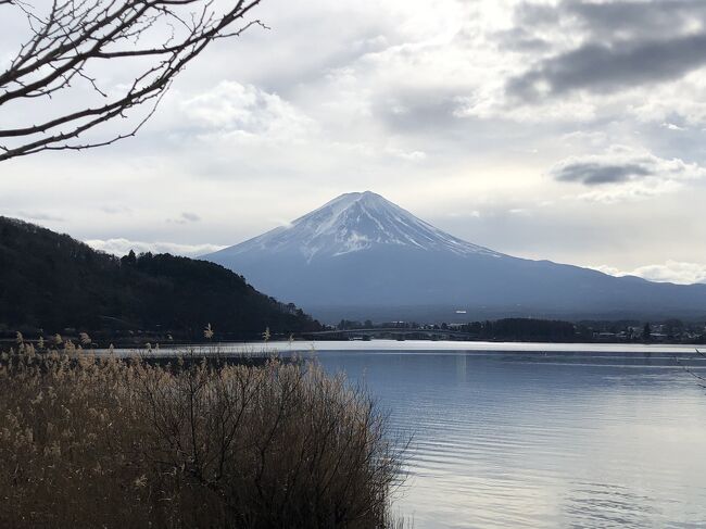 一月に河口湖で冬花火があると知り、夫婦で訪れました。バスタ新宿から高速バスでまっすぐ河口湖駅まで行けるので、とても便利です。（急行だと1時間50分）<br />初日は、家を夕方に出たので、ホテル着が19:30でお料理とお風呂を堪能して、2日目に河口湖・音楽と森の美術館に行きました。<br /><br />宿泊場所：足和田ホテル<br /><br />(2024/3/28 加筆修正)