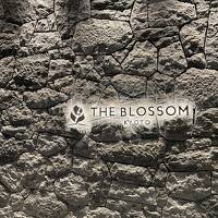 THE BLOSSOM KYOTOステイ＋（DQW里）400円で琵琶湖一周+おはぎ松葉・白