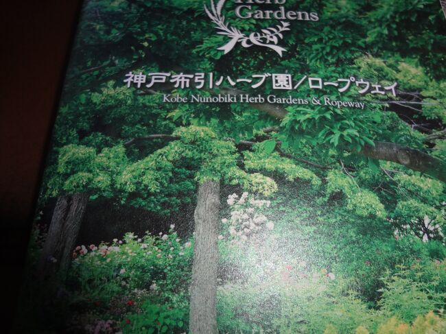 陽気に誘われて神戸布引ハーブ園に行ってきました。外国からの観光客も沢山<br />来られていて、平日にもかかわらず、賑っていました。