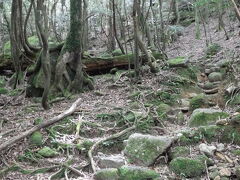 屋久島の旅行記