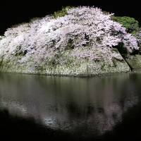 琵琶湖の桜を求めて（亀の井ホテル彦根・彦根城・ラ コリーナ近江八幡）