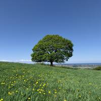 JALスマイルキャンペーンで女満別へ【後編】