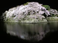 琵琶湖の桜を求めて（亀の井ホテル彦根・彦根城・ラ コリーナ近江八幡）