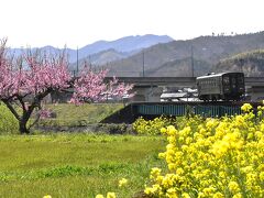 春景色の中を走る若桜鉄道と因幡船岡駅2021～ホームに残されている牛の体重計～（鳥取）