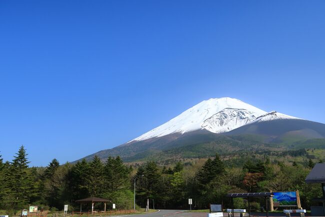 標高の高いところにある水ヵ塚公園へ行ってきました。<br />ここは、5合目近くにあり富士山が見える場所にありました。<br />公園といっても広大な無料駐車場があるだけでした。<br />5月17日でしたが富士山の頂上には、まだ雪が残ってました。
